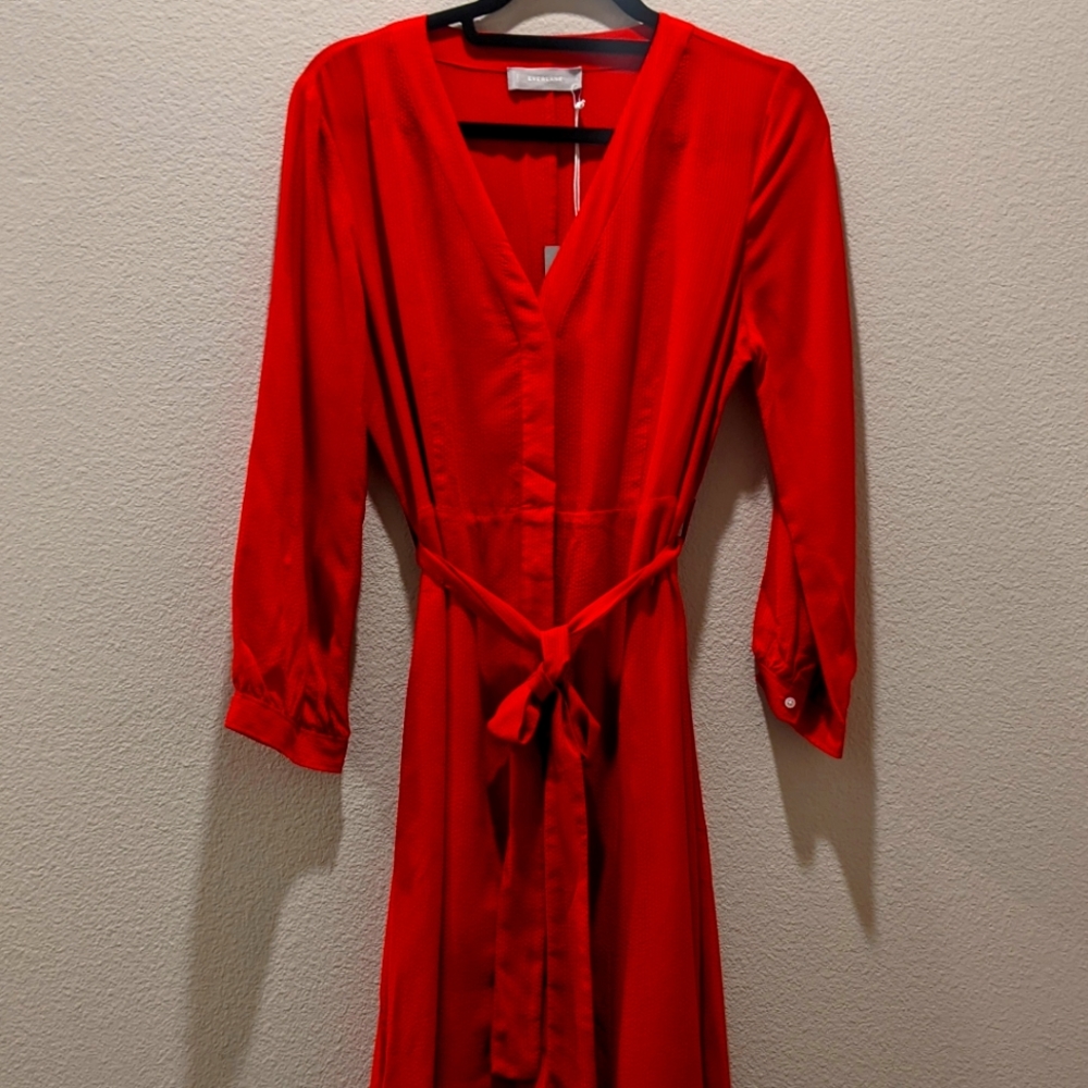 Everlane 100% Cupro Dress